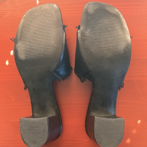 Bernardo Blane 1 Slides - Picture 6 of 7